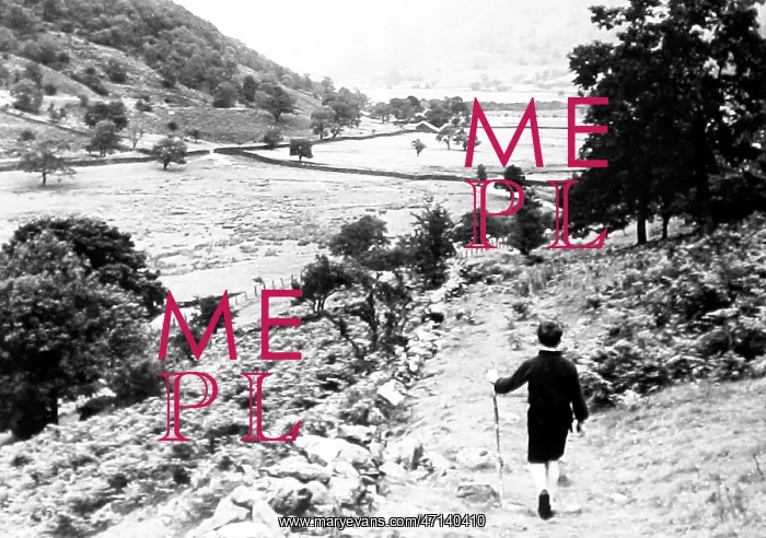  : Dovedale, Lake District