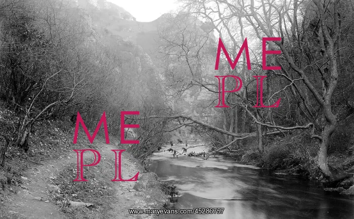 : Dovedale - the river : Dovedale - the river