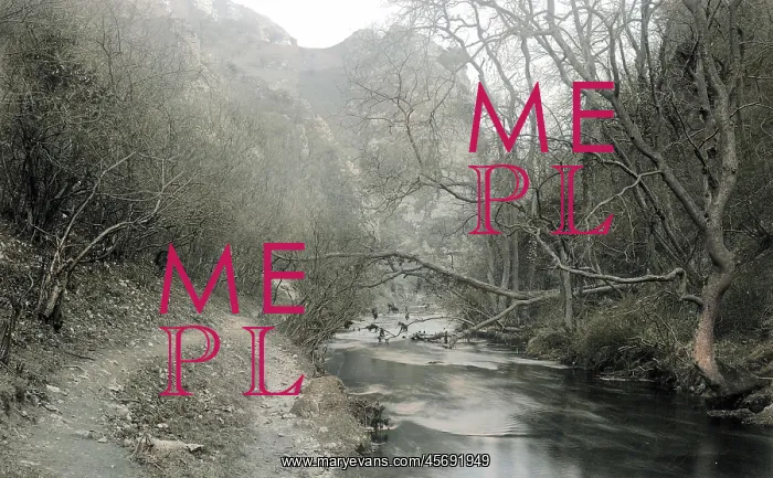 : Dovedale - the river : Dovedale - the river