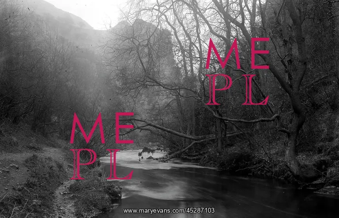 : Dovedale - River and scenery with trees : Dovedale - River and scenery with trees