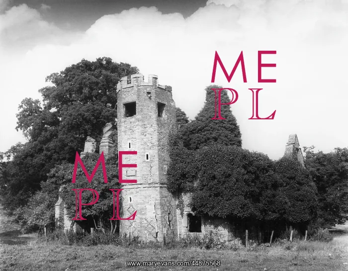 : DOWER HOUSE TOWER : DOWER HOUSE TOWER