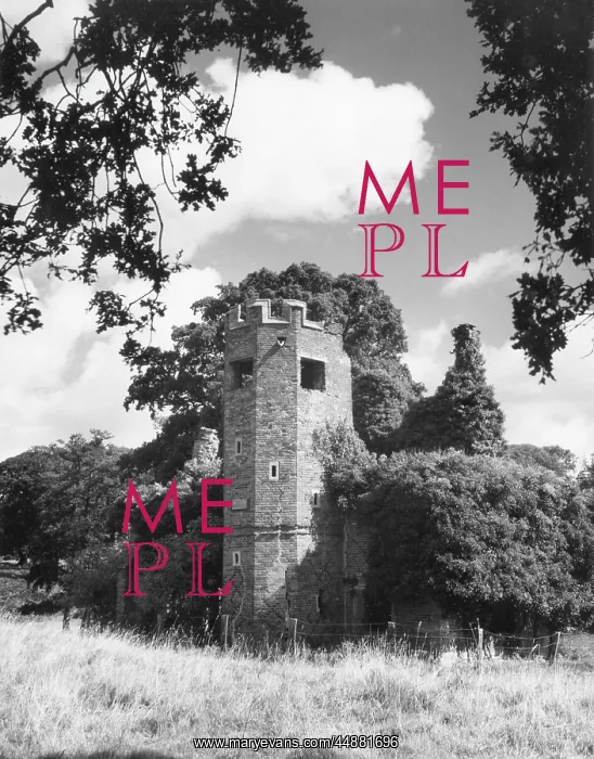 : DOWER HOUSE TOWER : DOWER HOUSE TOWER