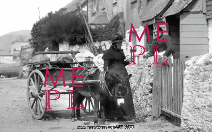 : Downderry, Donkey Cart 1894 : Downderry, Donkey Cart 1894