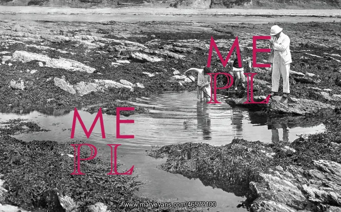 : Downderry, Rock Pooling 1930 : Downderry, Rock Pooling 1930