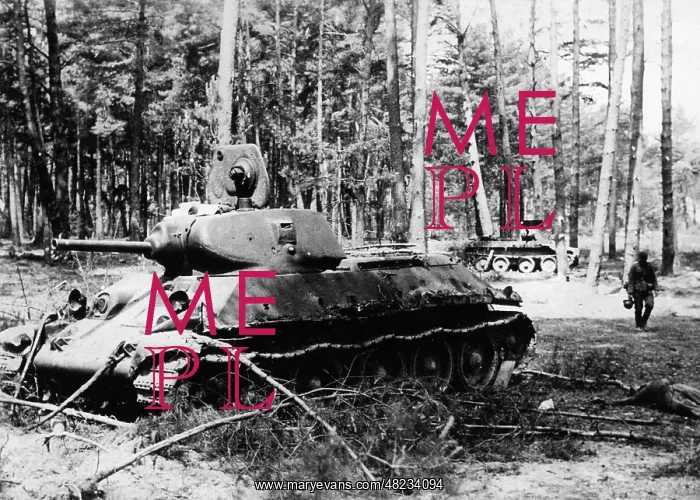 : Downed Red Army tanks on the Eastern Front, 1941 : Downed Red Army tanks on the Eastern Front, 1941