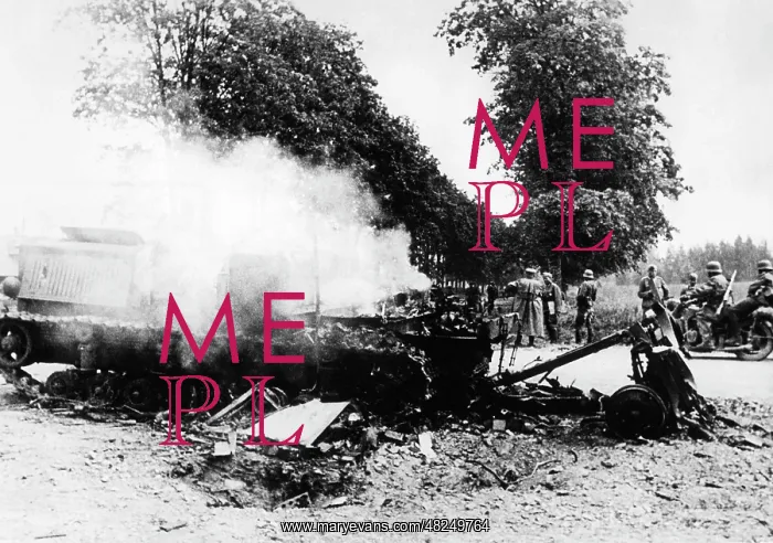 : Downed tank on the Eastern Front, 1941 : Downed tank on the Eastern Front, 1941
