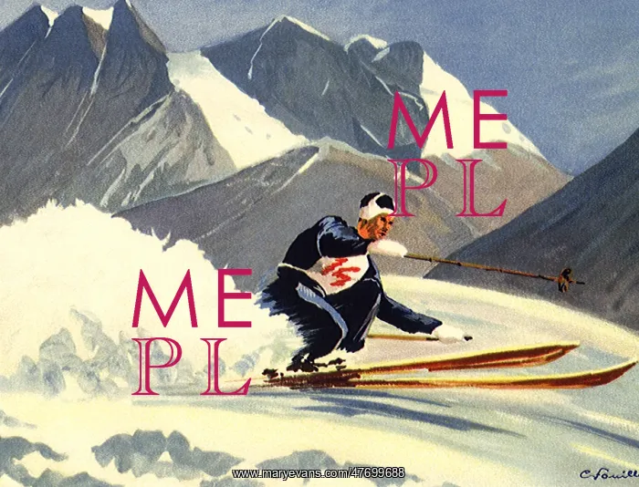  : Downhill Skier