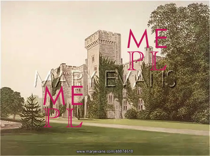  : DOWNTON CASTLE / HEREFORD