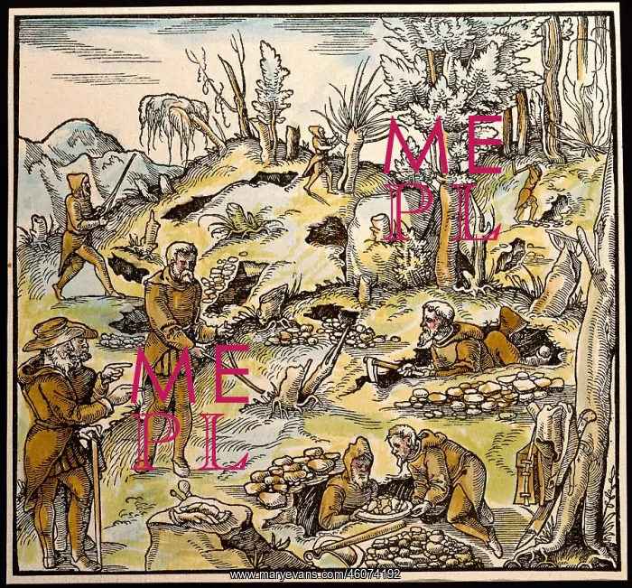 : Dowsing used in mining. Coloured woodcut, De re metallica libri XII, 16th century : Dowsing used in mining. Coloured woodcut, De re metallica libri XII, 16th century