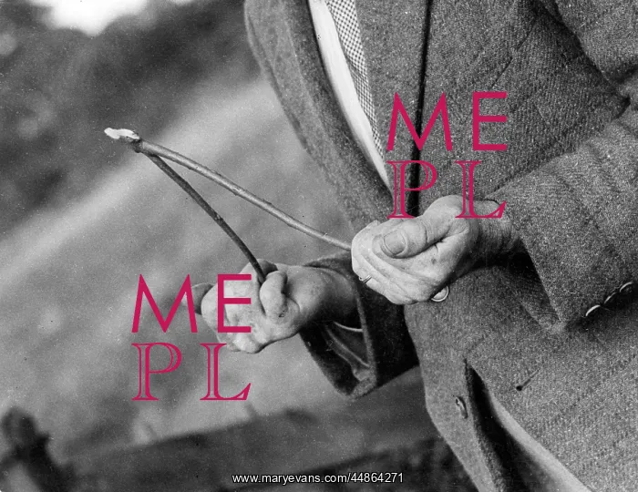 : DOWSING / HOLDING THE ROD : DOWSING / HOLDING THE ROD
