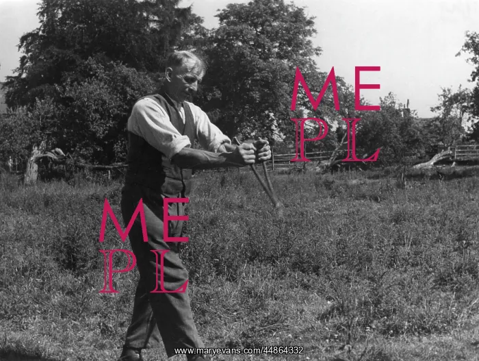 : DOWSING / LEICESTERSHIRE : DOWSING / LEICESTERSHIRE