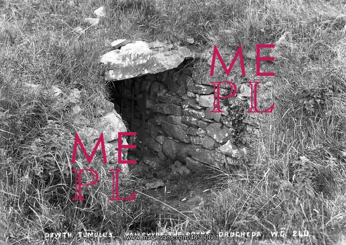 : Dowth Tumulus, Valley of the Boyne, Drogheda : Dowth Tumulus, Valley of the Boyne, Drogheda
