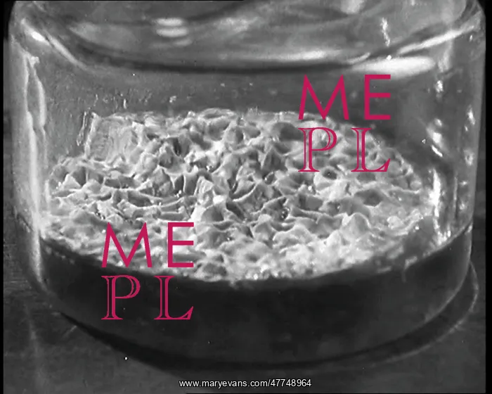 : Dr Alexander Fleming, the Inventor of Penicillin : Dr Alexander Fleming, the Inventor of Penicillin