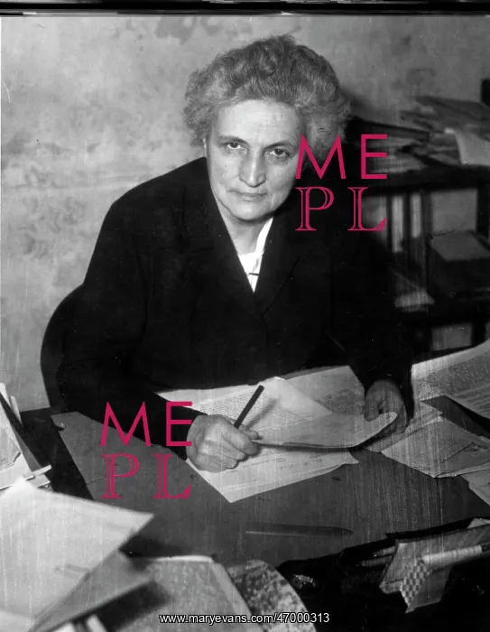 : Dr. Bamberger : Dr. Bamberger