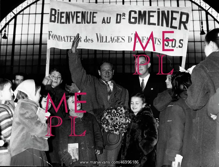 : Dr. Gmeiner : Dr. Gmeiner
