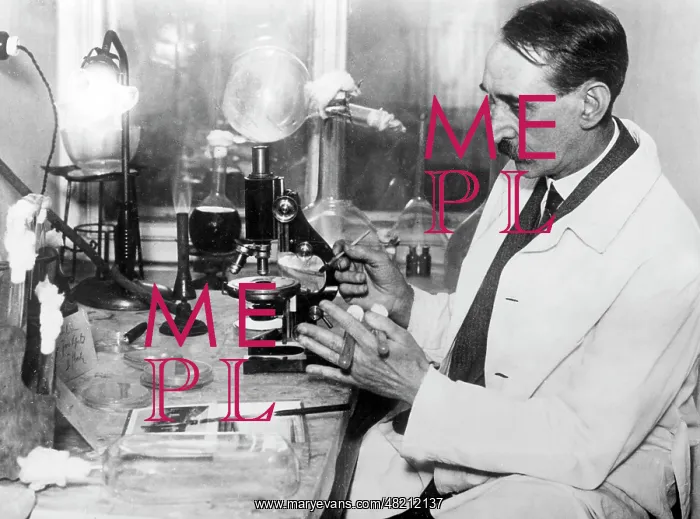 : Dr. Hermann Dostal : Dr. Hermann Dostal