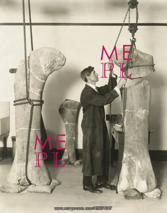 : Dr. J. B. Abbott, prepared fossils of dinosaurs : Dr. J. B. Abbott, prepared fossils of dinosaurs