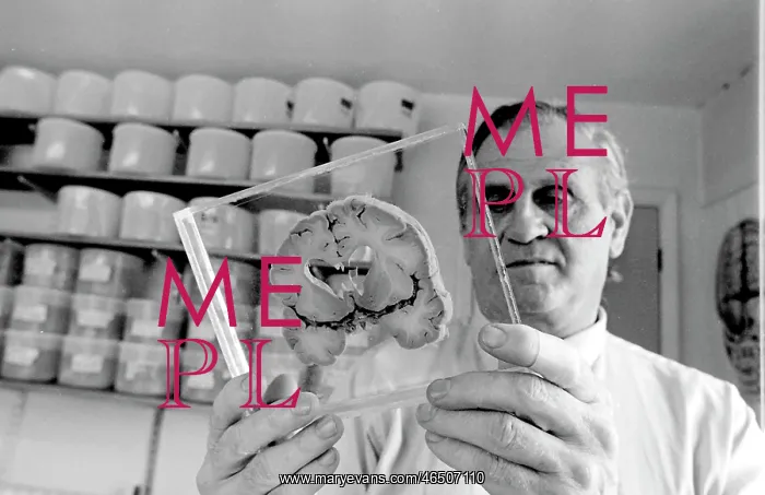 : Dr Jan Corsellis