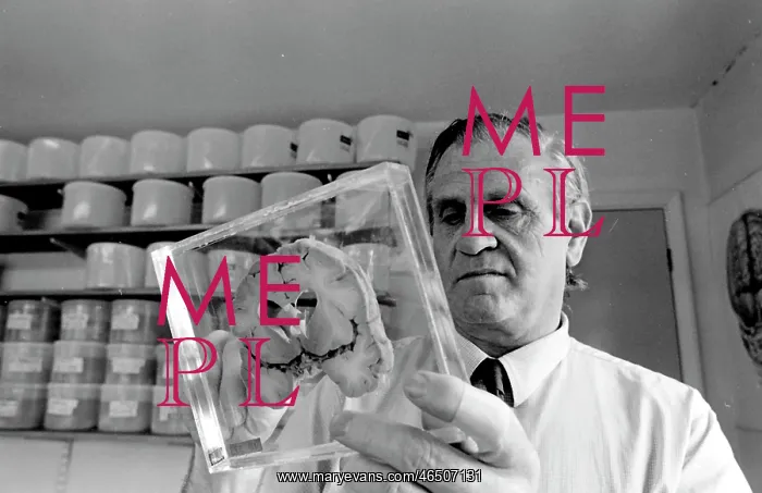  : Dr Jan Corsellis