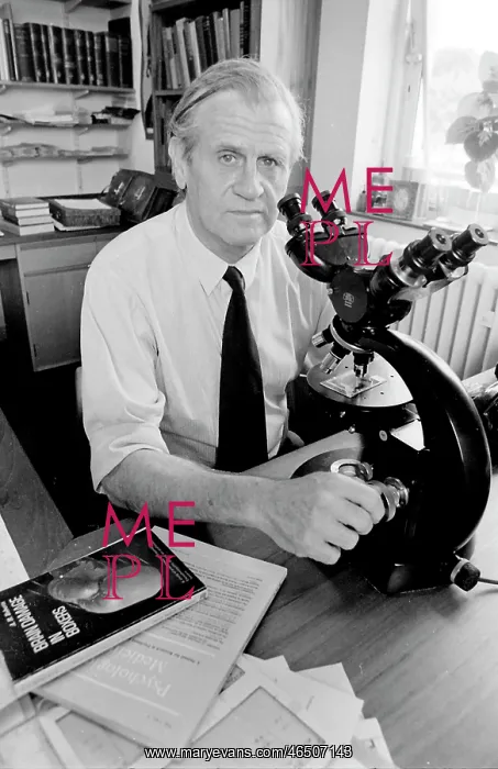  : Dr Jan Corsellis