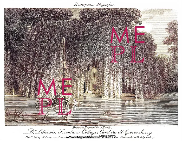 : DR LETTSOM'S HOME - 3 : DR LETTSOM'S HOME - 3