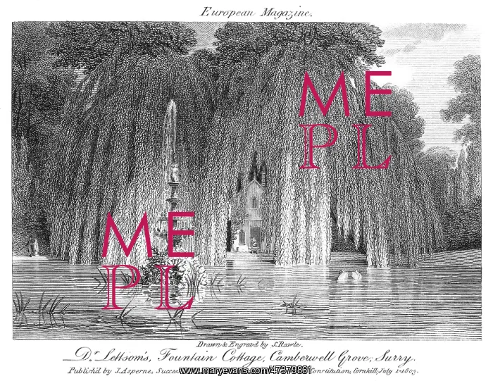 : DR LETTSOM'S HOME - 3 : DR LETTSOM'S HOME - 3