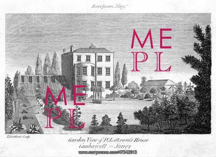 : DR LETTSOM'S HOUSE : DR LETTSOM'S HOUSE