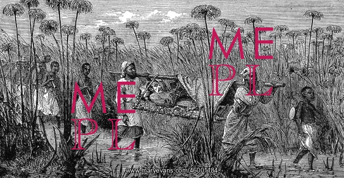 : Dr. Livingstone being carried during his last exploration : Dr. Livingstone being carried during his last exploration