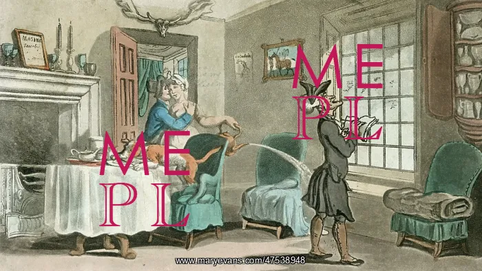 : Dr Syntax copying the wit of the window : Dr Syntax copying the wit of the window