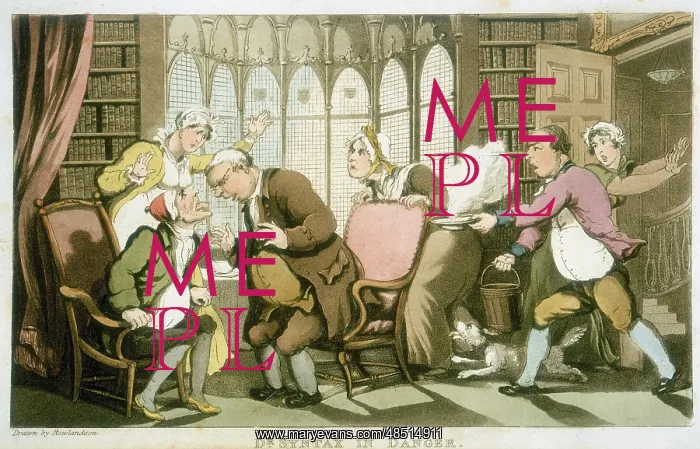 : Dr Syntax in Danger: Aquatint of Rowlandson illustration : Dr Syntax in Danger: Aquatint of Rowlandson illustration