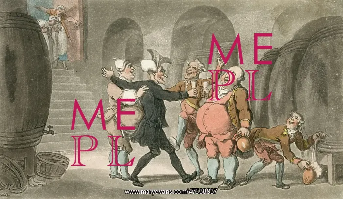 : Dr Syntax made free of the cellar : Dr Syntax made free of the cellar