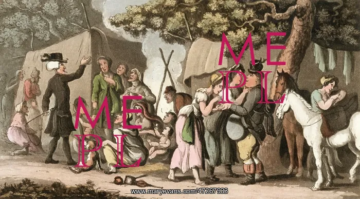 : Dr Syntax and the gypsies : Dr Syntax and the gypsies