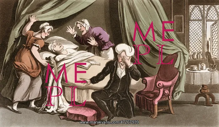 : Dr Syntax lamenting the loss of his wife : Dr Syntax lamenting the loss of his wife