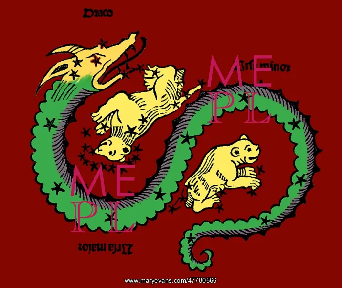 : Draco, Ursa Major and Ursa Minor Constellations : Draco, Ursa Major and Ursa Minor Constellations