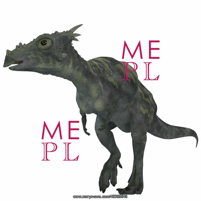 : Dracorex dinosaur : Dracorex dinosaur