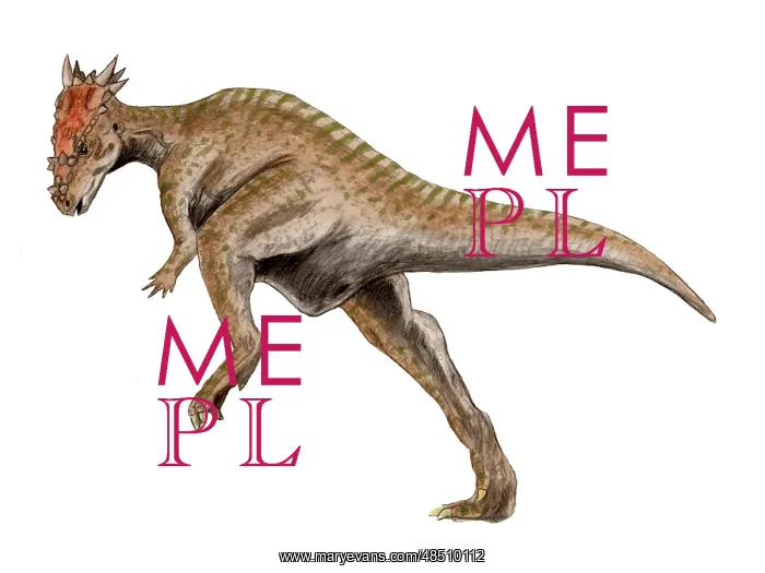 : Dracorex dinosaur : Dracorex dinosaur
