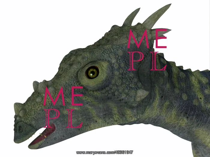 : Dracorex dinosaur head : Dracorex dinosaur head