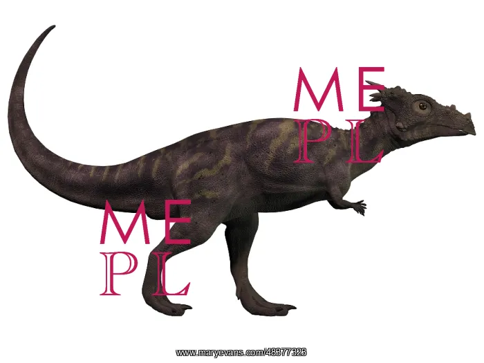: Dracorex, a herbivorous dinosaur from the Cretaceous period : Dracorex, a herbivorous dinosaur from the Cretaceous period
