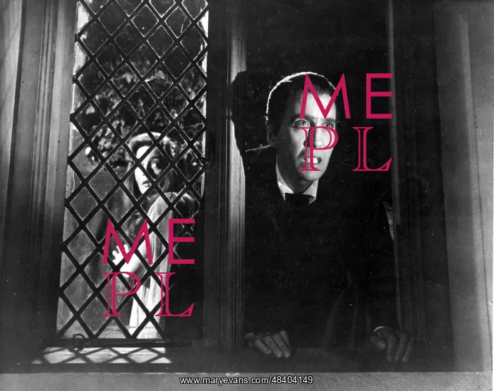 : DRACULA: PRINCE OF DARKNESS : DRACULA: PRINCE OF DARKNESS