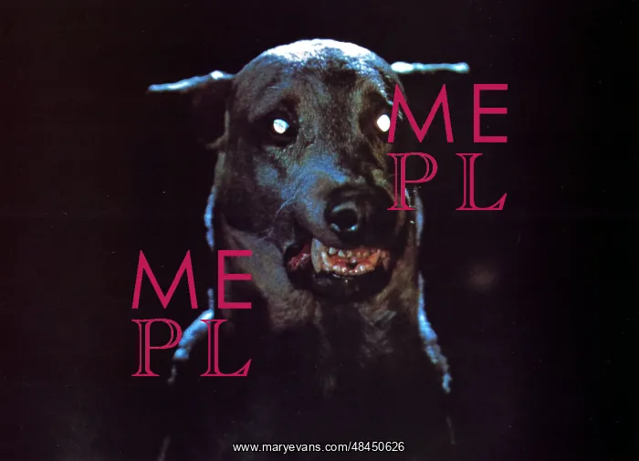 : DRACULA'S DOG : DRACULA'S DOG