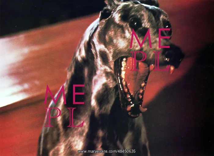 : DRACULA'S DOG : DRACULA'S DOG