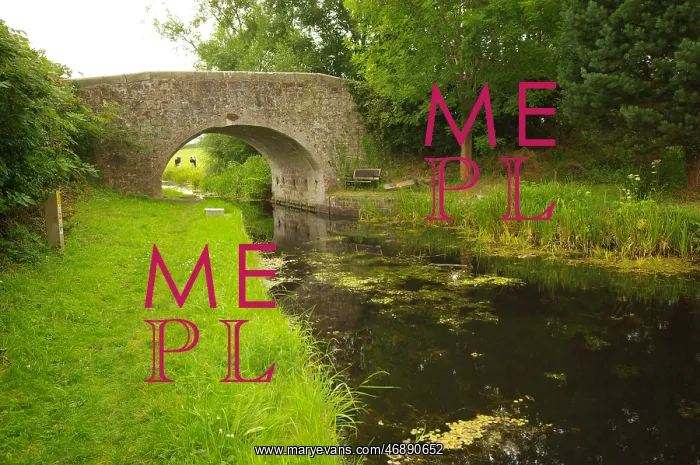 : Dragon Bridge, Montgomery Canal : Dragon Bridge, Montgomery Canal