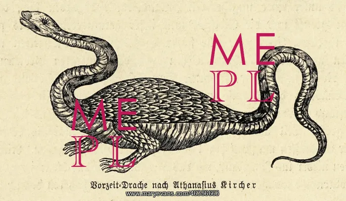 : Dragon (Kircher) : Dragon (Kircher)