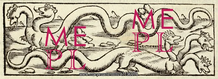 : Dragon (Munster) : Dragon (Munster)