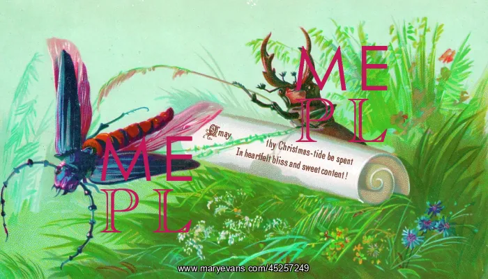 : Dragonfly and beetle on a Christmas card : Dragonfly and beetle on a Christmas card