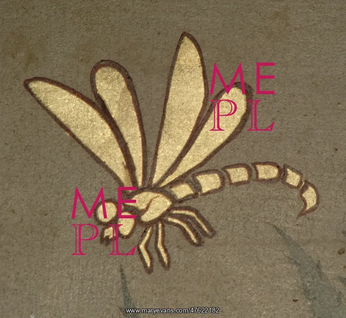 : Dragonfly from decorative ceiling panels : Dragonfly from decorative ceiling panels