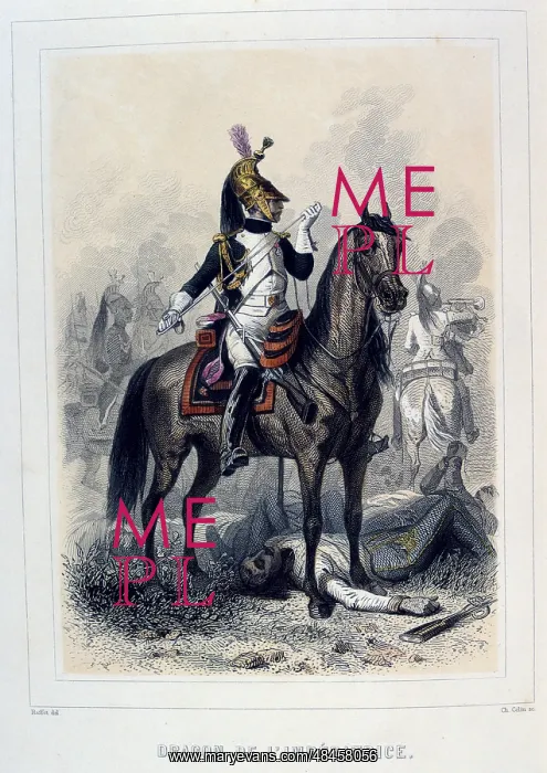 : Dragoon of the Empress's Regiment. From Napoleon : Dragoon of the Empress's Regiment. From Napoleon