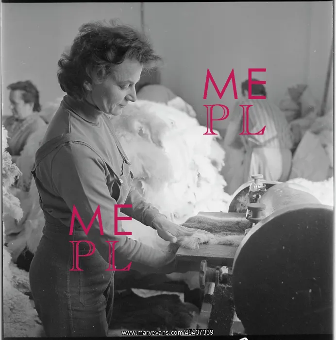 : Drahomira Burianova, worker, tanner, fur, combing machine : Drahomira Burianova, worker, tanner, fur, combing machine
