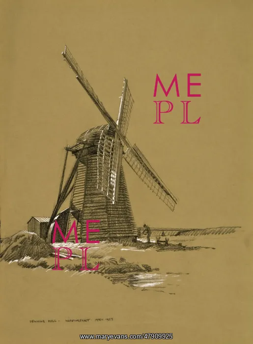  : Draining Mill at Herringfleet, Suffolk