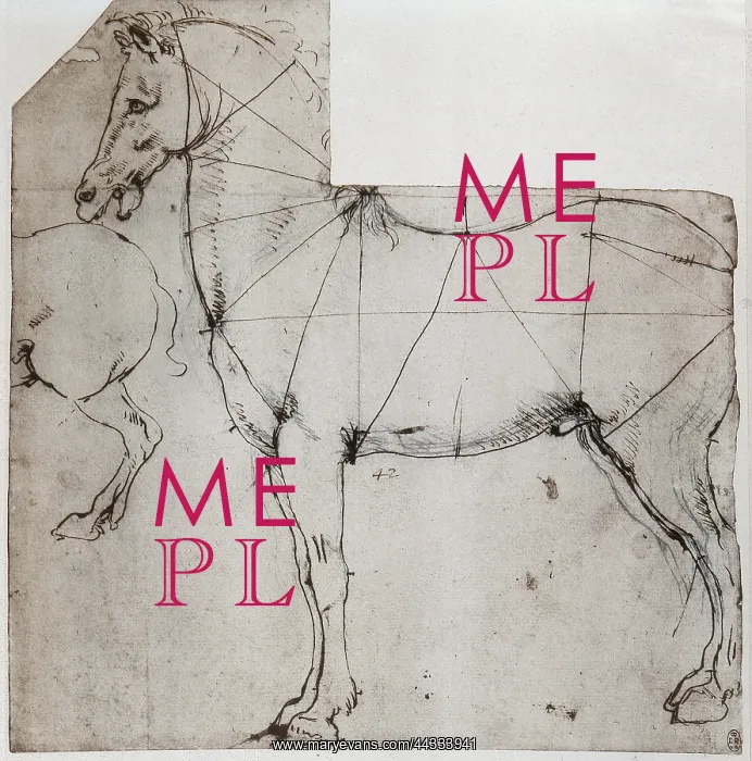 : Drawing analysing movement of a horse : Drawing analysing movement of a horse